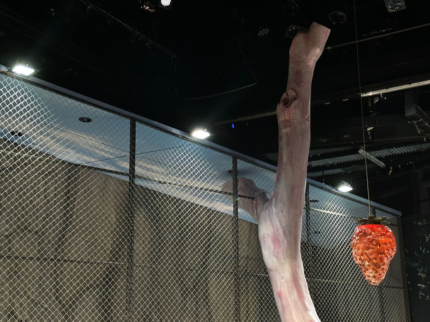 Anton v. Bredow, Schmerz Camp, Theater Bremen, Spielzeit 23/24, © Jörg Landsberg